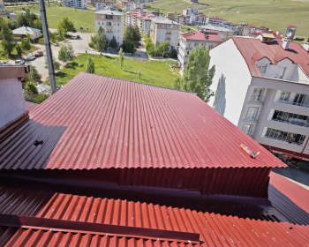 WhatsApp-Image-2025-06-27-at-03.16.56